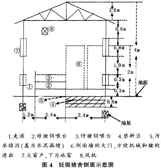 發(fā)酵床養(yǎng)豬對豬舍的要求及建設(shè)