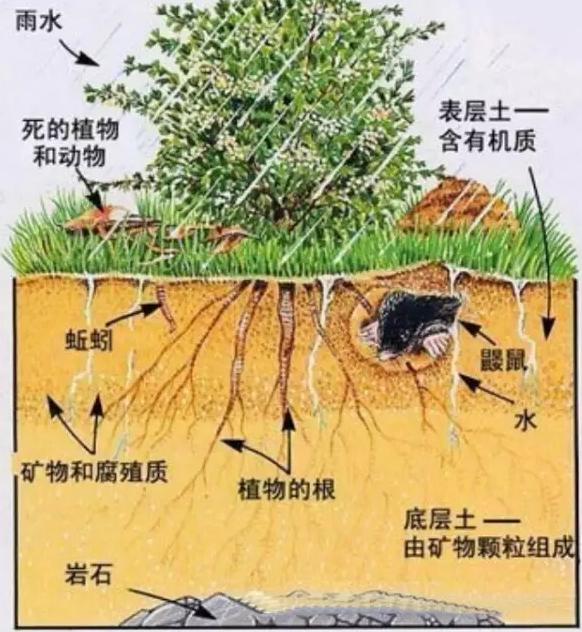 你知道有機(jī)肥有哪些作用嗎？