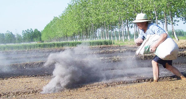 鉀肥是什么肥料，鉀肥的種類有哪些？