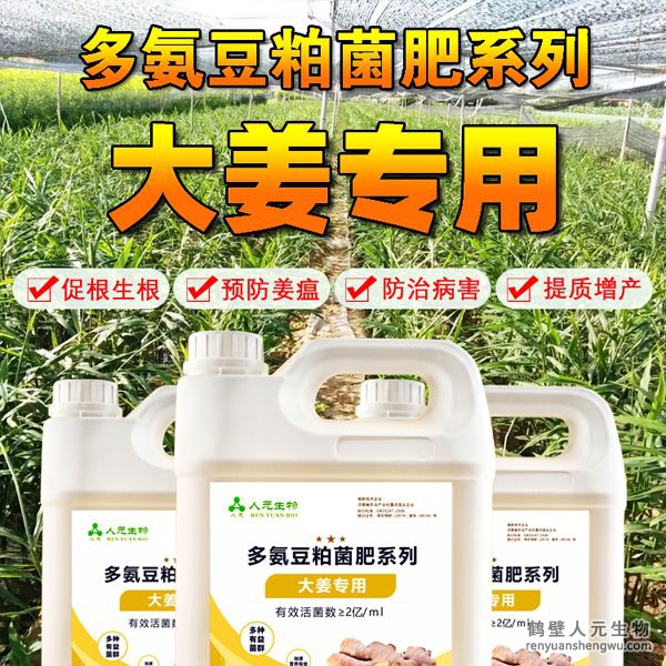 多氨豆粕菌肥系列大姜專用肥由河南省微生物菌劑工程技術研究中心研制，鶴壁市人元生物技術發(fā)展有限公司生產，本品是以固態(tài)發(fā)酵豆粕為主要原料，豆粕經過有益微生物菌種發(fā)酵分解，充分釋放游離氨基酸，同時輔以枯草、地衣、膠凍樣芽孢桿菌等有益菌群。