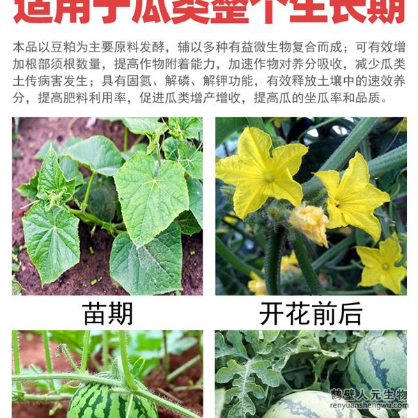 多氨豆粕菌肥系列瓜類專用肥適用范圍：適用于西瓜、甜瓜、哈密瓜等瓜類作物。